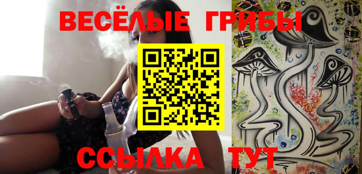 Псилоцибиновые грибы GOLDEN TEACHER  Вход с VPN  Амурск 